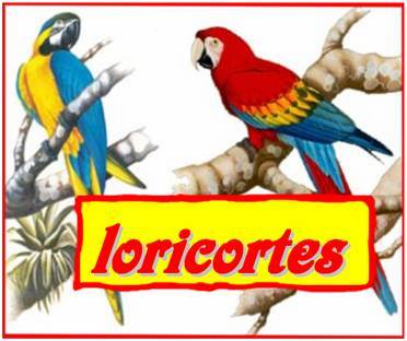 LOGOTIPO DE LORICORTES.PDS